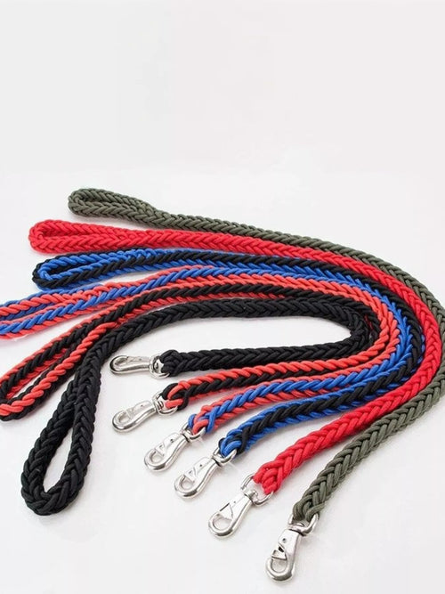 2 Piece Braided Rope Pet Leash with Metal Clasp - Classy Cajuns