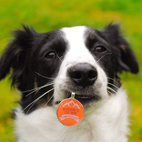 "Adventure is Out There" Personalized Dog ID Custom Pet Tag You Choose - Classy Cajuns